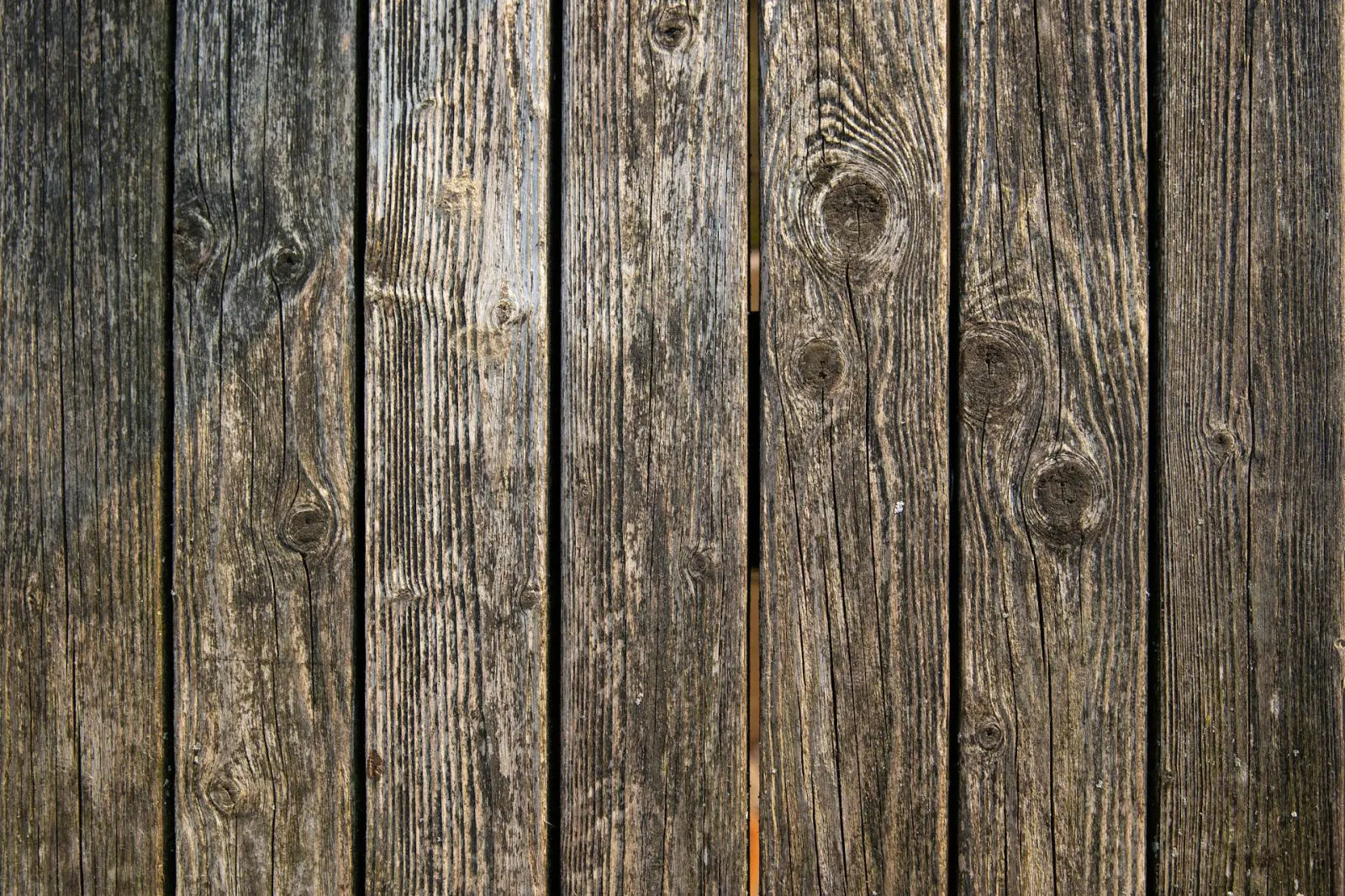 Close-up tekstury drewna cedrowego — słoje i kolor heartwood